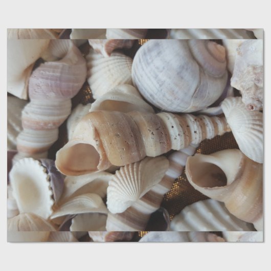 Papier Cadeau Romantique Tropical Exotic Sea Shells Plage Amour (Plat)