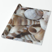 Papier Cadeau Romantique Tropical Exotic Sea Shells Plage Amour (Déroulé)