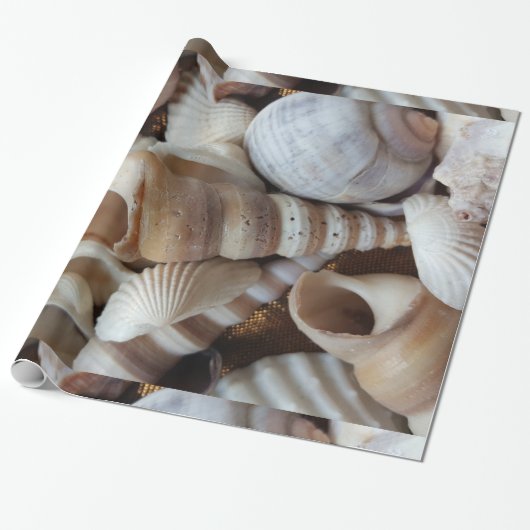 Papier Cadeau Romantique Tropical Exotic Sea Shells Plage Amour (Déroulé)