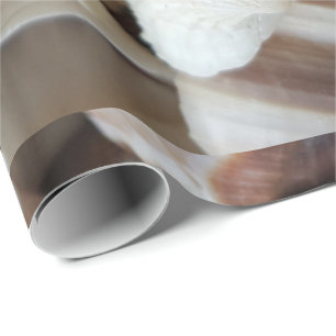 Papier Cadeau Romantique Tropical Exotic Sea Shells Plage Amour