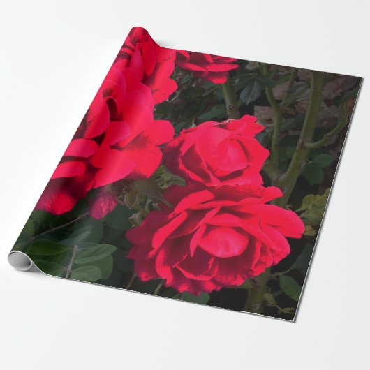Papier Cadeau Rosarium de Red Roses (Déroulé)