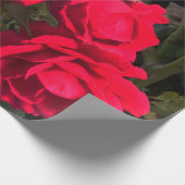 Papier Cadeau Rosarium de Red Roses (Coin)