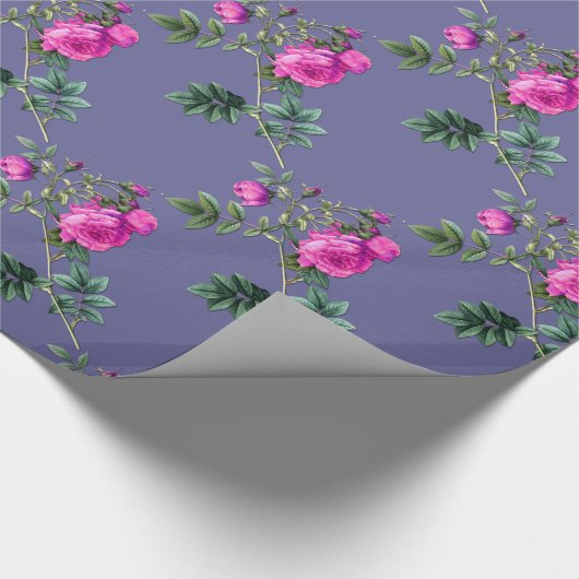 Papier Cadeau Rose (Coin)