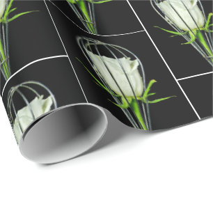 Papier Cadeau rose blanche en fouet métallique