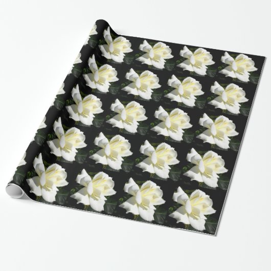 Papier Cadeau Rose blanche Pascali (Déroulé)