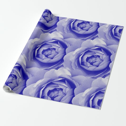 Papier Cadeau Rose bleu (Déroulé)