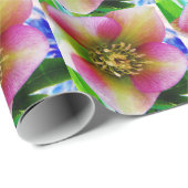 Papier Cadeau Rose de carême rose, (Coin rond)