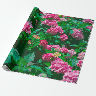 Papier Cadeau Rose de Noël Helleborus Fleurs florales