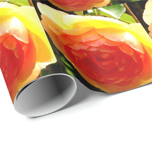 Papier Cadeau Rose jaune (Coin rond)