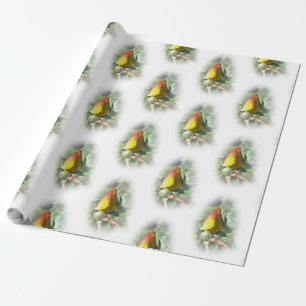 Papier Cadeau rose jaune