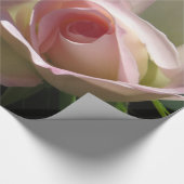 Papier Cadeau Rose Mariage rose (Coin)