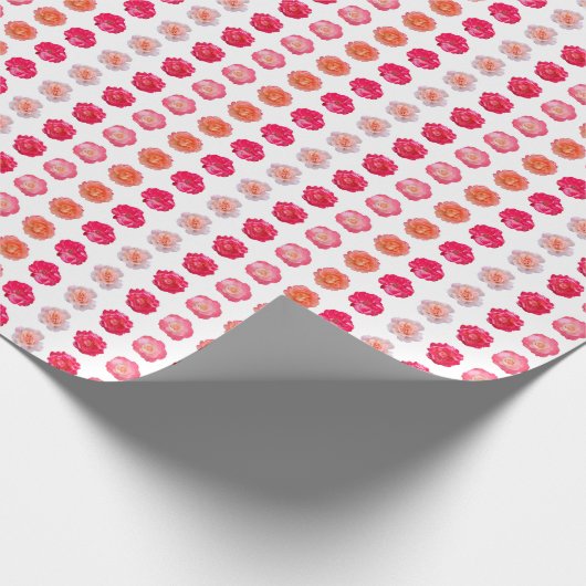 Papier Cadeau Rose Repeats Wrapping Paper (Coin)