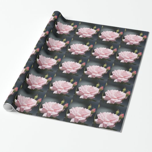 Papier Cadeau rose rose (Déroulé)