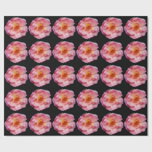 Papier Cadeau Rose rose avec gouttes de rosée sur fond noir (Plat)