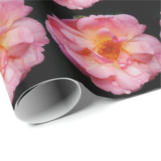 Papier Cadeau Rose rose avec gouttes de rosée sur fond noir (Coin rond)