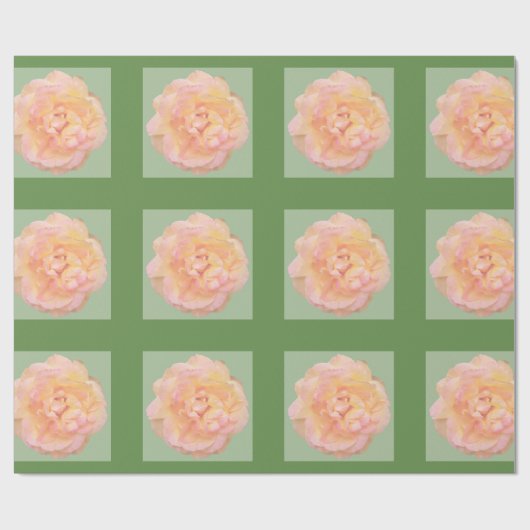 Papier Cadeau Rose rose rose rose Peach rose Design sur Arrière (Plat)
