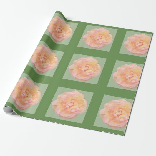 Papier Cadeau Rose rose rose rose Peach rose Design sur Arrière (Déroulé)