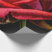 Papier Cadeau Rose rouge contre Arrière - plan noir (Coin)