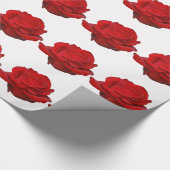Papier Cadeau Rose rouge sur blanc (Coin)