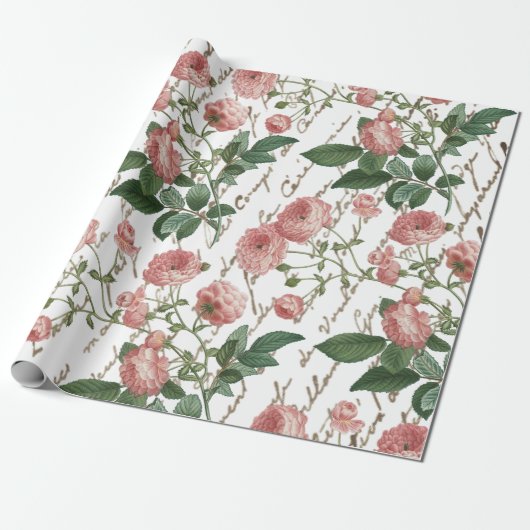 Papier Cadeau Rose Vintage français Script Gold (Déroulé)
