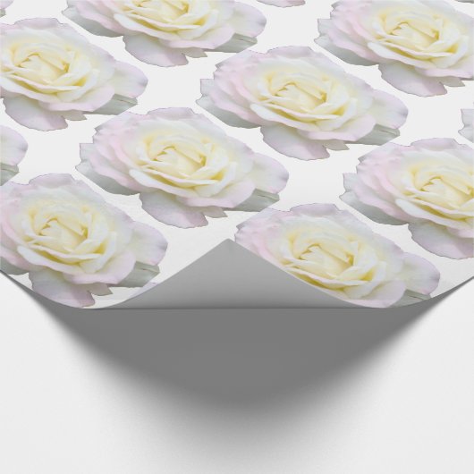 Papier Cadeau Roses blanches (Coin)