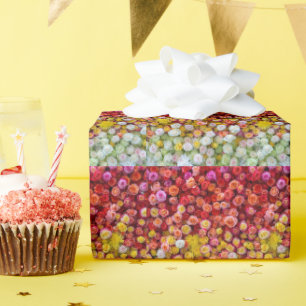 Papier Cadeau Roses et chrysanthèmes colorés Dégradé floral