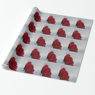 Papier Cadeau Roses rouges contre un ciel bleu vif