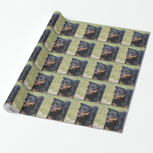 Papier Cadeau Rottweiler sans astuce (Déroulé)