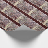 Papier Cadeau Roue (Coin)