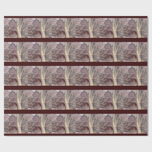 Papier Cadeau Roue (Plat)