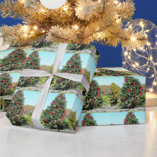 Papier Cadeau Rouleau de papier d'enveloppement de l'arbre de No