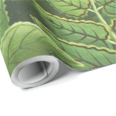 Papier Cadeau Rousseau Tropical Jungle Lion Peinture (Coin rond)