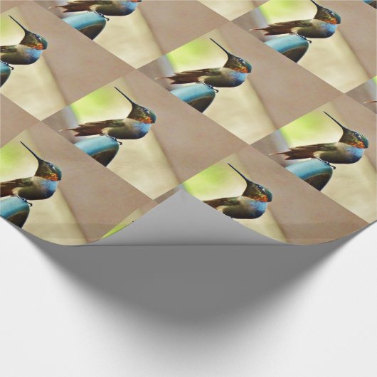Papier Cadeau Ruby perché et petit colibri vert (Coin)