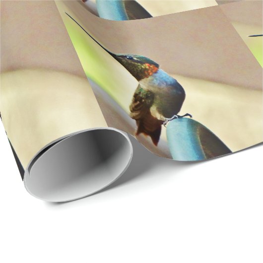 Papier Cadeau Ruby perché et petit colibri vert (Coin rond)