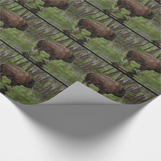 Papier Cadeau Running Buffalo & Forest, Bison-lover's Design (Coin)