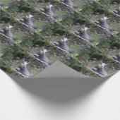 Papier Cadeau Rupicapra rupicapra (Coin)