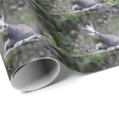 Papier Cadeau Rupicapra rupicapra (Coin rond)