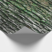 Papier Cadeau Russe Faux Grain Arbre Barre Moss (Coin)