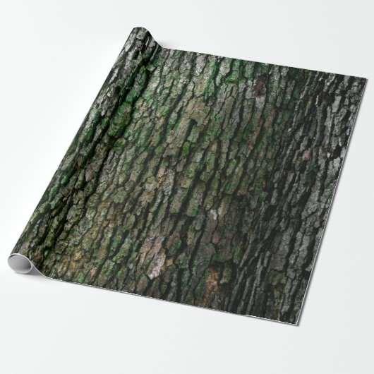 Papier Cadeau Russe Faux Grain Arbre Barre Moss (Déroulé)