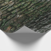 Papier Cadeau Russe Faux Grain Arbre Barre Moss (Coin)
