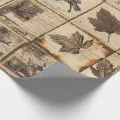 Papier Cadeau Rustique Automne Ephemera Collage | Terre chaude ( (Coin)