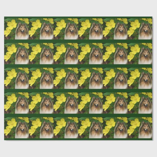 Papier Cadeau Sable Collie Et Fleurs Jaunes Chien (Plat)