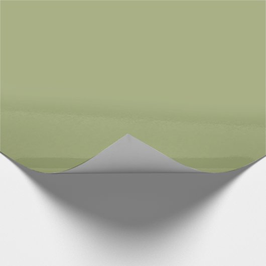 Papier Cadeau Sage Grass Vert Couleur solide (Coin)