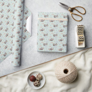 Papier Cadeau Sage Vintage Avion Ciel