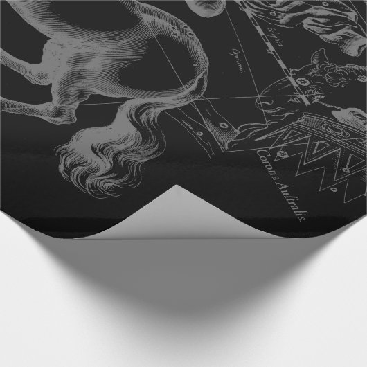 Papier Cadeau Sagittarius Constellation Hevelius Map on Black (Coin)