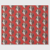 Papier Cadeau Saint Nicholas et Krampus (Plat)