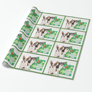Papier Cadeau Saint Patrick's Day Chihuahua's