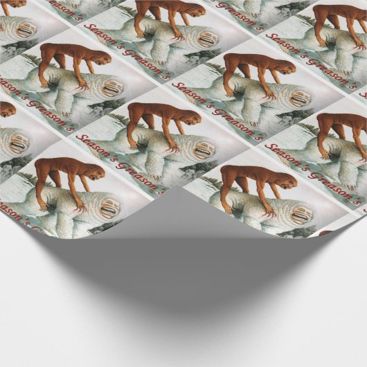 Papier Cadeau Saisons Graisons Mème (Coin)