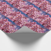 Papier Cadeau Sakura Cherry Blossoms embrassés par Sunlight (Coin)