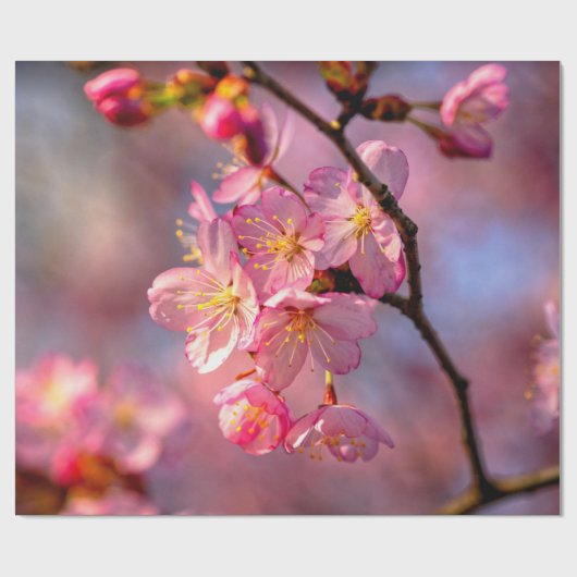 Papier Cadeau Sakura cool Fleurs Sur Un Cerisier (Plat)